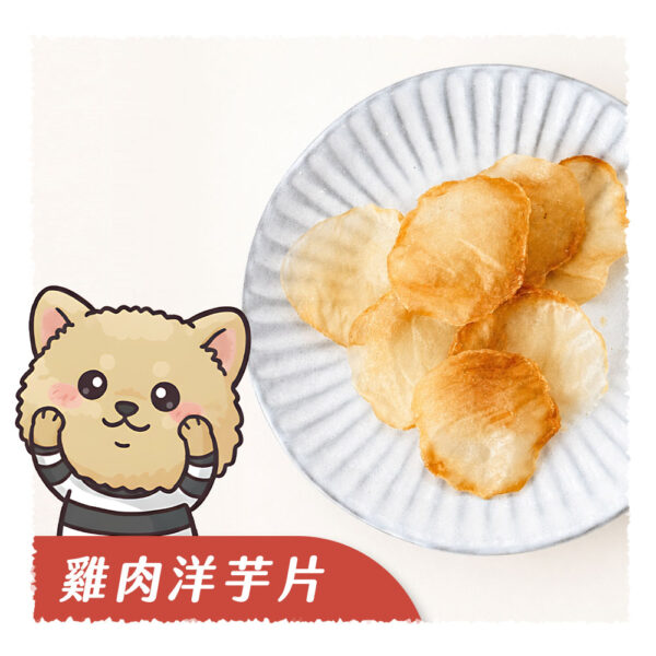 雞肉洋芋片