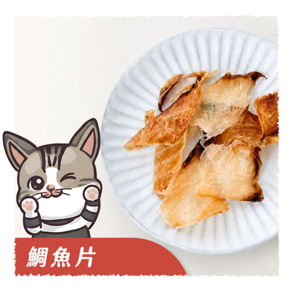 鯛魚片