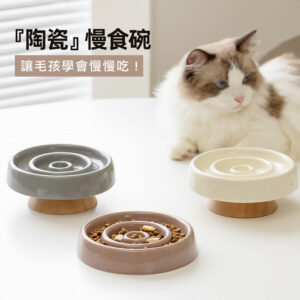 陶瓷慢食碗