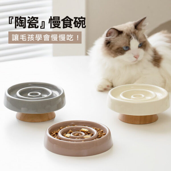 陶瓷慢食碗