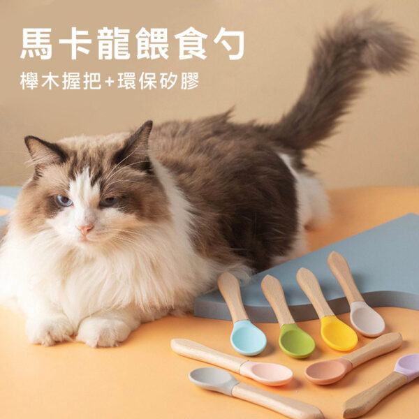 馬卡龍餵食勺