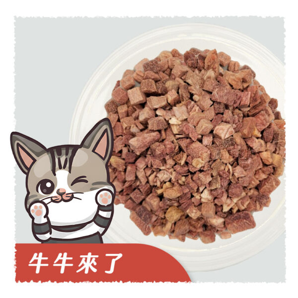 牛肉凍乾