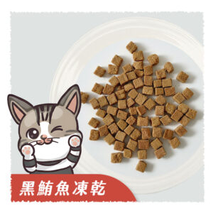 𝙉𝙀𝙒 黑鮪魚凍乾
