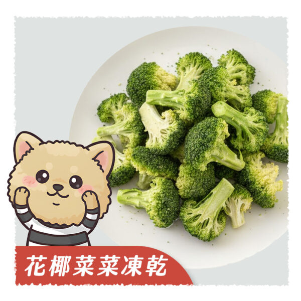 𝙉𝙀𝙒 花椰菜菜凍乾