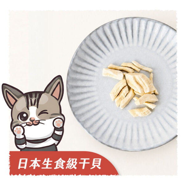 𝙉𝙀𝙒 日本生食級干貝
