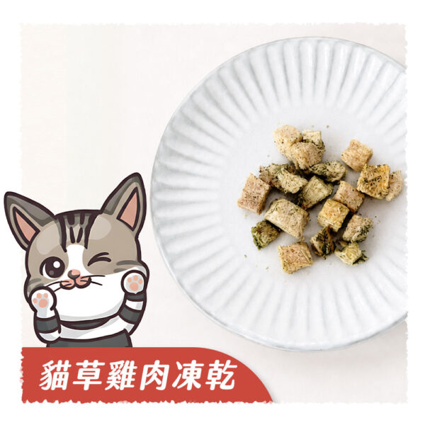 𝙉𝙀𝙒 貓草雞肉凍乾